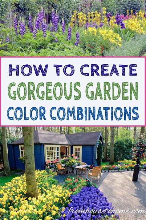 garden colour scheme ideas.